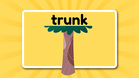 The word trunk over the trunk of a tree.