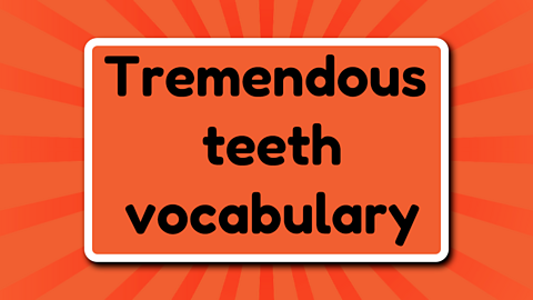 Tremendous teeth vocabulary