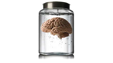 CrowdScience, CrowdScience, Can we grow a conscious brain?