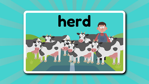 A farmer and his cows beneath the word 'herd'