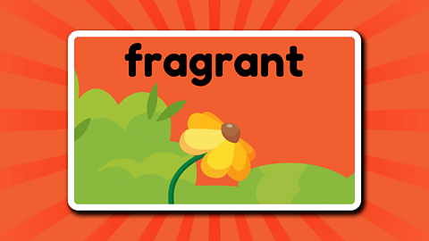 The word fragrant above a bush and a flower.