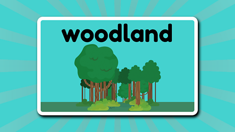 A group of trees beneath the word 'woodland'