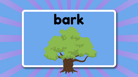 A large old oak tree beneath the word 'bark