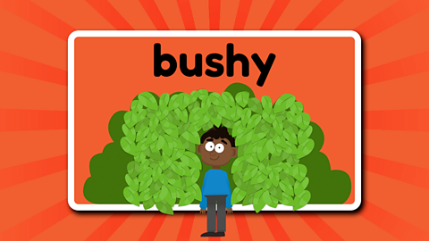 A young child hiding in a bush, beneath the word 'bushy'