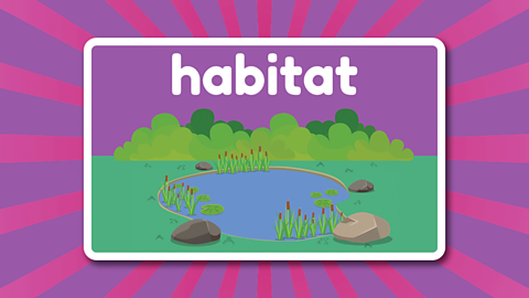 A pond beneath the word 'habitat'