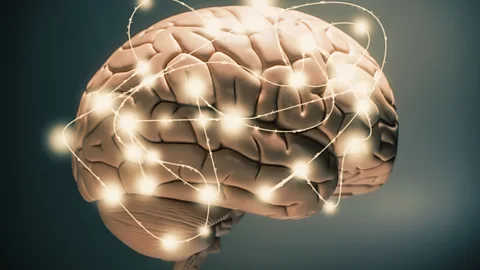 CrowdScience, CrowdScience, What is consciousness?