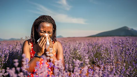 Discovery, Discovery, The Evidence: Is the world becoming more allergic?
