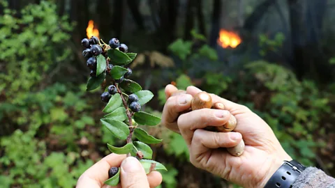 CrowdScience, CrowdScience, Can humans be part of healthy ecosystems?