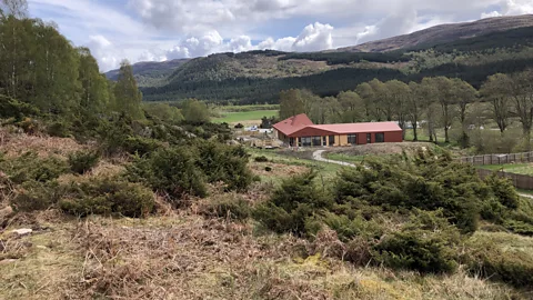 Dundreggan Rewilding Centre