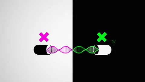 Epigenetics: Can we control our genes?