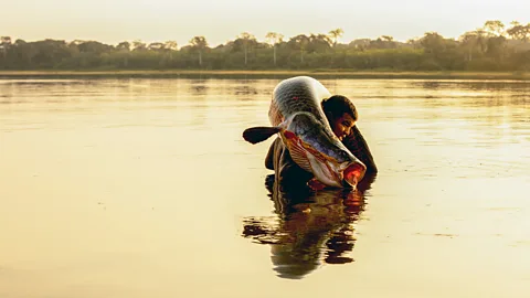 Photo of a fisherman carrying a paiche