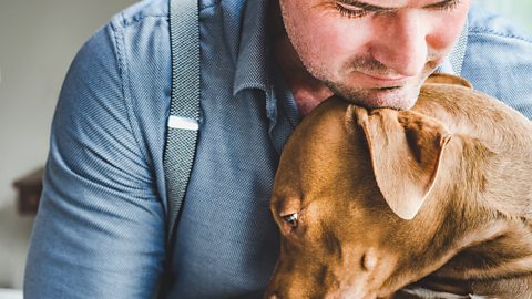 The mental health crisis impacting the veterinary community