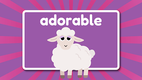 The word adorable above a cute lamb.