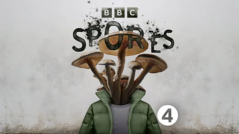 Limelight, Spores: Series 1, 1. Growth