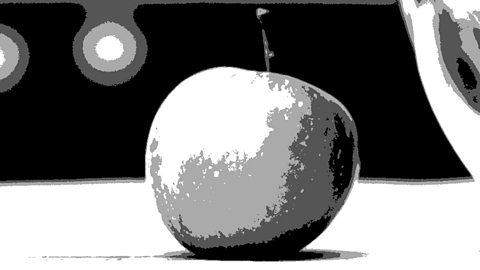 One apple in black and white