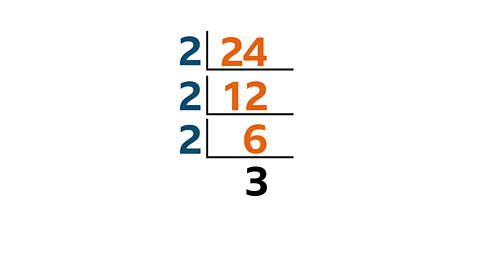 24/2=12/2=6/2=3