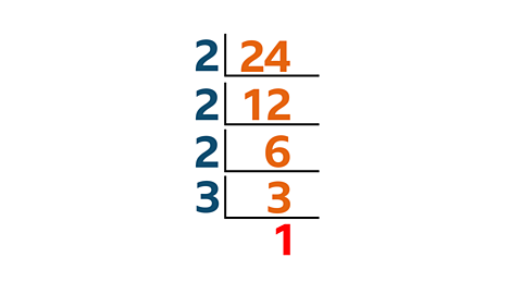 24/2=12/2=6/2=3/3=1