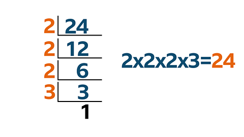 24/2=12/2=6/2=3/3=1 2x2x2x3=24