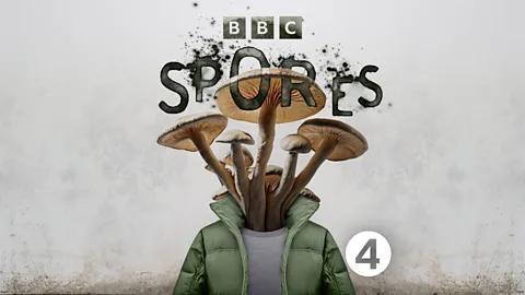 Limelight, Spores: Series 1