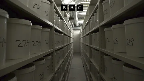 Witness History, Witness History, Thousands of Danish brains in plastic buckets