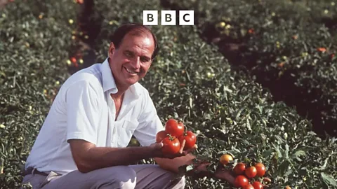 Witness History, Witness History, Flavr Savr tomato: The world's first genetically-engineered food
