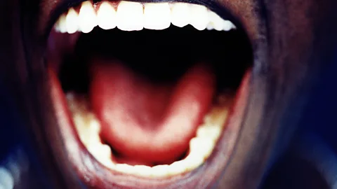 Discovery, Discovery, Putting the Mouth Back into the Body