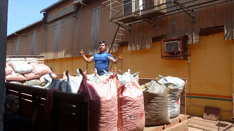 Business Daily, Business Daily, Battling snakes to gather Brazil nuts