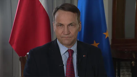 The Interview, The Interview, Radek Sikorski: Will Poland's new government unite or divide the country?