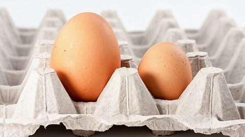 one large egg and one small egg placed in a grey cardboard egg box