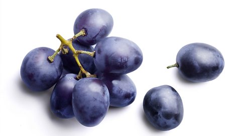 A small bunch of black grapes with two separate grapes at the side of the main bunch