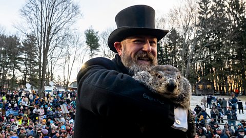 Punxutawney Phil on Groundhog Day (Credit: Getty)