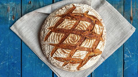 An aerial view of a round backed bread with criss-cross lines on the top, placed on a napkin on a blue background.