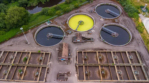 The Blackburn Meadows sewage treatment works in the UK (Credit: Getty Images)