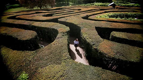 A young girl navigating Hampton Court maze in 2009 (Credit: Getty Images)