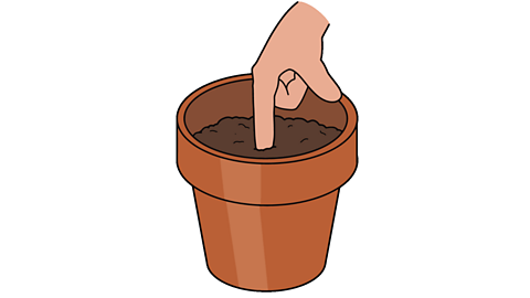 A plant pot, with a hand on top, the finger is making a small hole in the soil