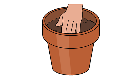 A plant pot, with a hand pressing the soil down