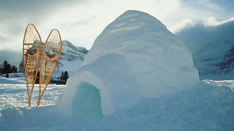 An igloo and a pair of snow shoes in an icy setting