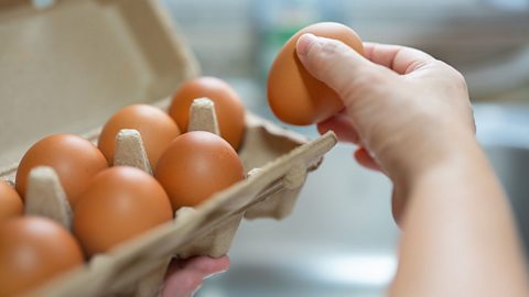 A hand holding a box of eggs removing one from the box