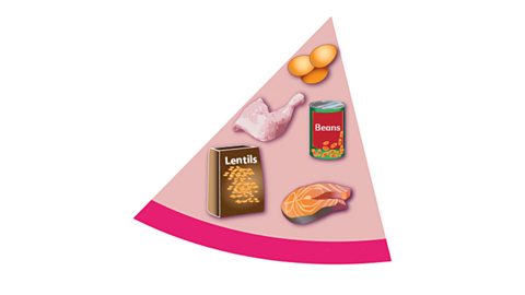 A pink segment of a circle containing three eggs, a chicken leg, a tin of beans, a bag of lentils and a piece of salmon