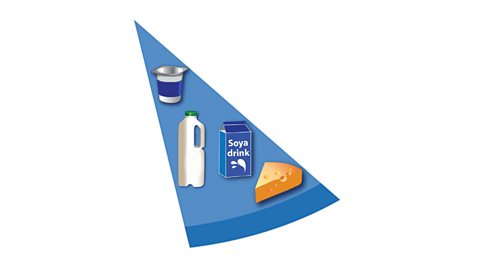 A blue segment of a circle containing a pot of yoghurt, a bottle of milk, a piece of cheese and a carton of soya drink