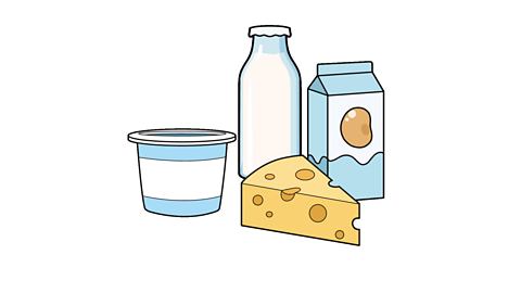 An illustration of a yoghurt pot, a bottle of milk, a block of cheese and a carton of soya drink