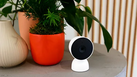 Video camera and plant on table