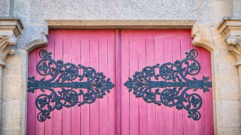 A door with a decorative hinge