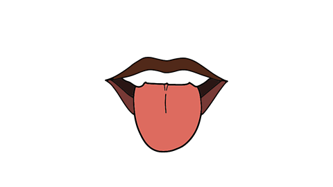 A cartoon open mouth with tongue sticking out