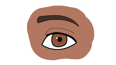 A cartoon of a brown eye and dark brown eyebrow