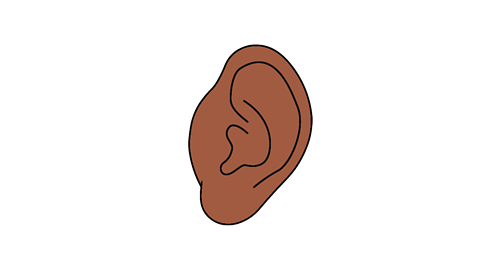 A cartoon ear