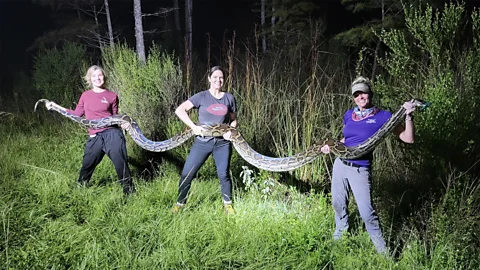 Amy Siewe and others hold up a python (Credit: Amy Siewe)