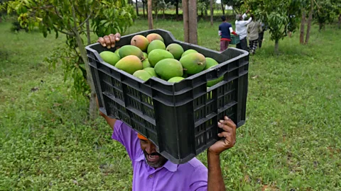 Business Daily, Business Daily, How do you keep food cold?