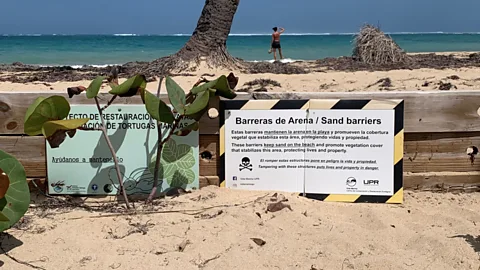 CrowdScience, CrowdScience, How should we protect our coastlines?
