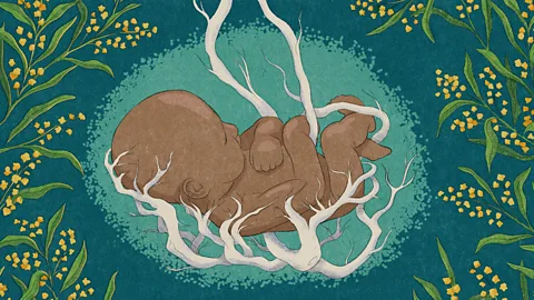 Illustration of a baby surrounded by tree roots (Credit: Emmanuel Lafont/BBC)